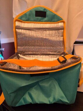 Insulated Lunch bag, everyday living insulated lunch bag NWT 9x6x6